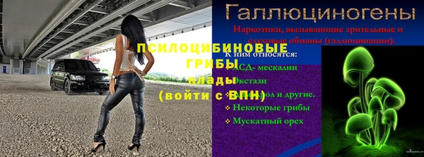 шишки Волосово