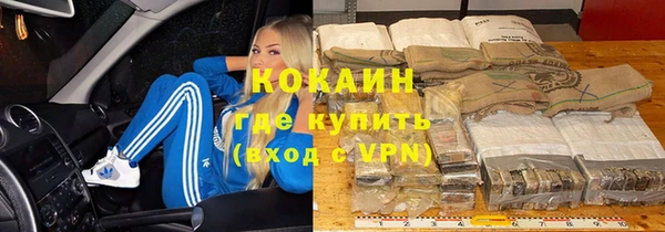 шишки Волосово