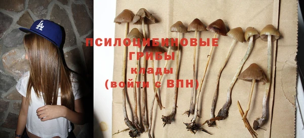 ГАЛЛЮЦИНОГЕННЫЕ ГРИБЫ Волоколамск
